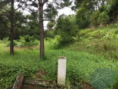 Lote/Terreno à venda, 8000m² no Chácaras do Refúgio-Granja Viana, Cotia