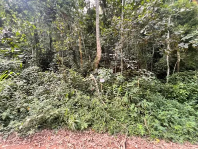 Lote/Terreno à venda, 1564m² no Apolinário, Mairiporã
