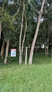 Lote/Terreno à venda, 600m² no Santa Felicidade, Curitiba