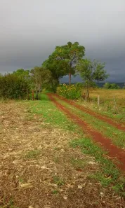 Lote/Terreno à venda, 300m² no Rio do Salto, Cascavel