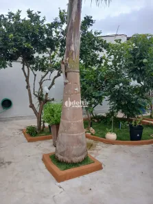 Casa com 3 Quartos à venda, 140m² no Cidade Jardim, Uberlândia