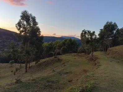 Lote/Terreno à venda, 43000m² no , Bom Retiro