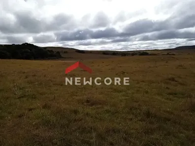 Lote/Terreno à venda, 35000m² no Centro, São Francisco de Paula