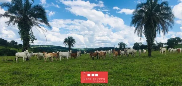 Fazenda/Sítio à venda, 1161600m² no , Caturaí