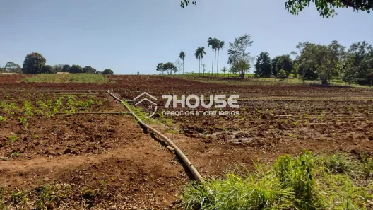 Lote/Terreno à venda, 44000m² no Betel, Paulínia