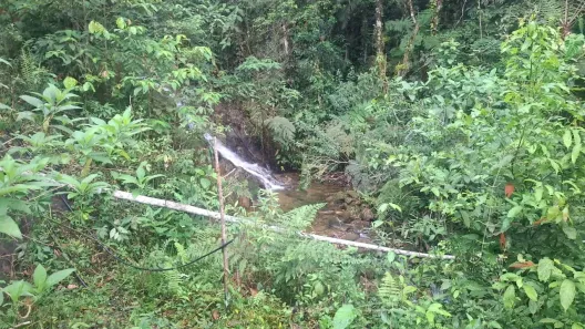 Fazenda/Sítio com 1 Quarto à venda, 100000m² no Centro, Sete Barras