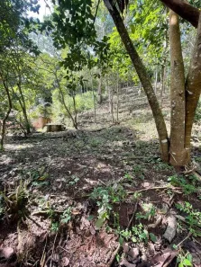 Lote/Terreno à venda, 1533m² no Parque Dom João VI, Nova Friburgo