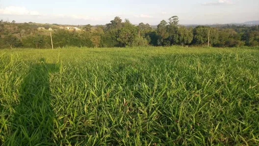 Lote/Terreno à venda, 900m² no Monte Alegre, Vinhedo