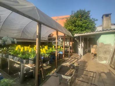 Lote/Terreno à venda, 290m² no Jardim Botânico, Porto Alegre