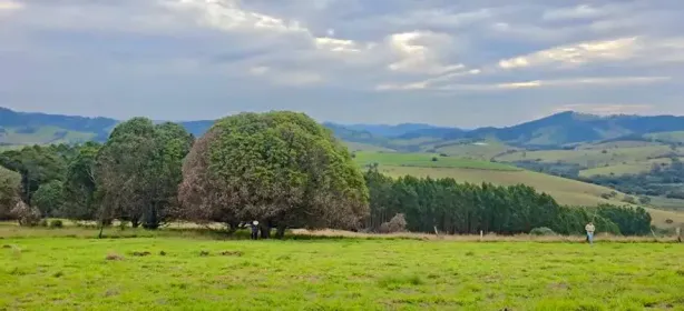 Fazenda/Sítio à venda, 1000m² no , Delfim Moreira