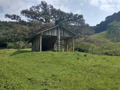 Fazenda/Sítio à venda, 550m² no , Águas Mornas