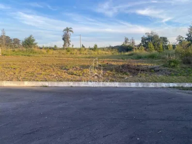 Lote/Terreno à venda, 495m² no Monte Pasqual, Farroupilha