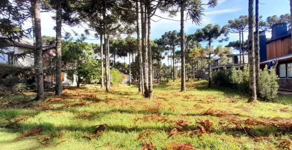 Lote/Terreno à venda, 800m² no Aspen Mountain, Gramado