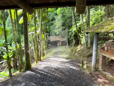 Fazenda/Sítio com 2 Quartos à venda, 27000m² no Polaquia, Indaial