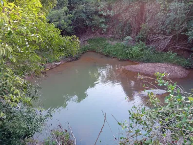 Fazenda/Sítio com 3 Quartos à venda, 1161600m² no Ponte Alta Norte, Brasília