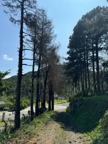 Lote/Terreno à venda, 47743m² no Itacorubi, Florianópolis