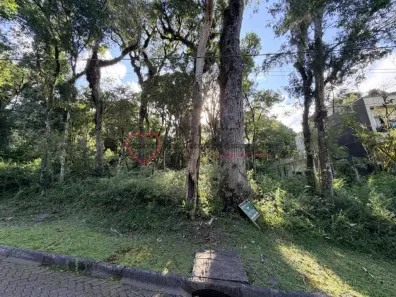 Lote/Terreno à venda, 600m² no Pinheiro Grosso, Canela