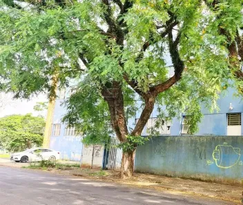 Galpão/Depósito/Armazém para alugar, 5348m² no Campo Belo, Londrina