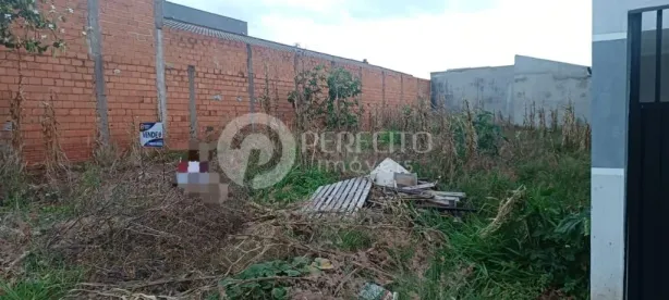 Lote/Terreno à venda, 250m² no Parque Terras de Santa Maria, Hortolândia