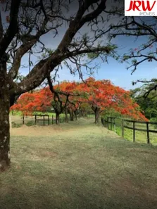 Lote/Terreno à venda, 605m² no Vila Inglesa, Indaiatuba