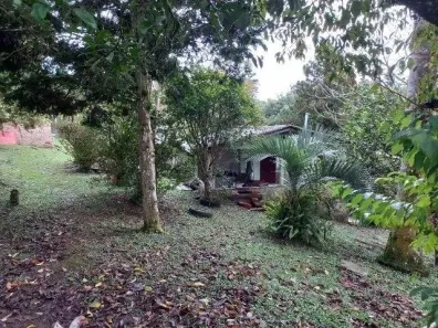 Fazenda/Sítio com 3 Quartos à venda, 100m² no Ipê, São José dos Pinhais
