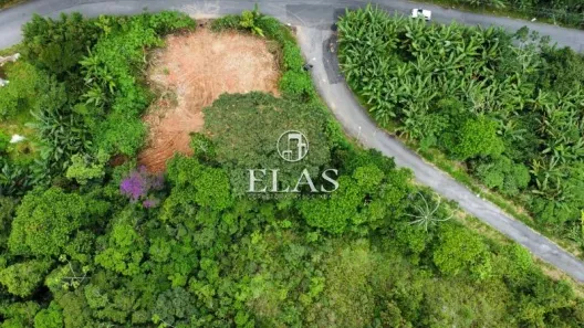 Lote/Terreno à venda, 1200m² no Simeria, Petrópolis