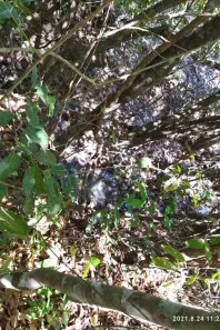 Lote/Terreno à venda, 20000m² no , Jaboticatubas