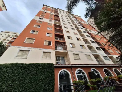 Apartamento com 3 Quartos para alugar, 65m² no Vila Nova, Campinas