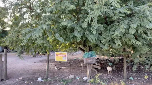 Lote/Terreno à venda, 450m² no Vila Cássia (Praia Seca), Araruama