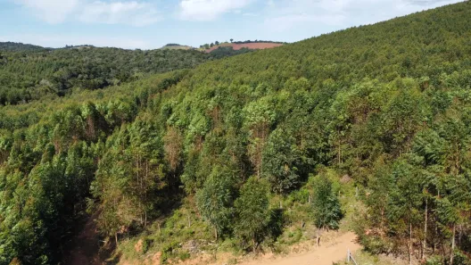 Fazenda/Sítio com 2 Quartos à venda, 1621400m² no Centro, Itapeva