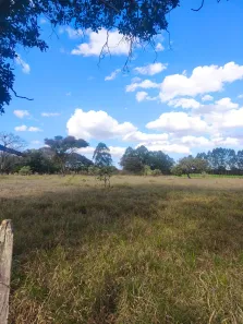 Fazenda/Sítio com 8 Quartos à venda, 200000m² no , Brasília