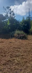 Fazenda/Sítio com 2 Quartos à venda, 1170m² no Jardim Recanto do Sol, São Paulo