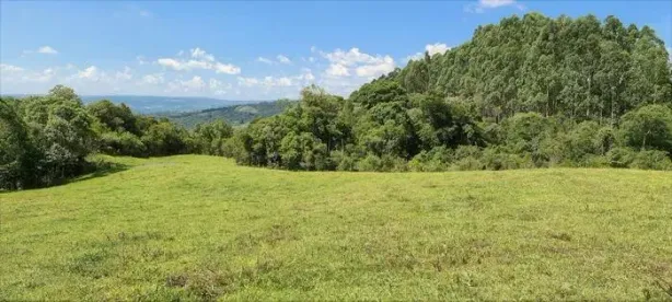 Fazenda/Sítio à venda, 34300m² no , Alfredo Wagner