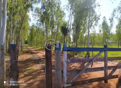 Fazenda/Sítio com 6 Quartos à venda, 15m² no , Terenos