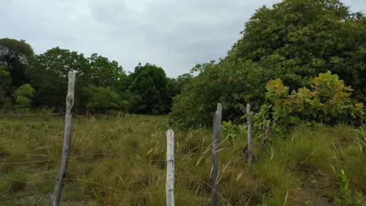 Fazenda/Sítio à venda, 2880m² no , Estância