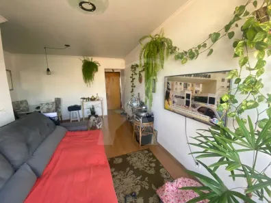Imóvel Comercial com 3 Quartos à venda, 72m² no Vila Nova Cachoeirinha, São Paulo