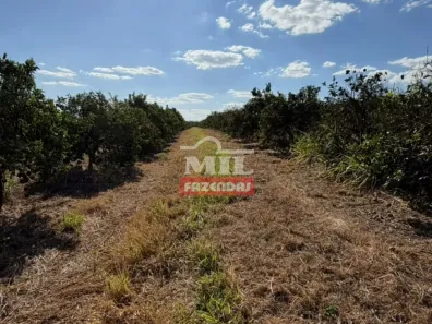 Fazenda/Sítio à venda, 1m² no Centro, Anápolis