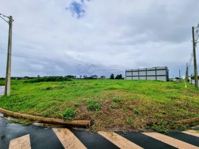 Lote/Terreno à venda, 458m² no Real Sul, Ribeirão Preto