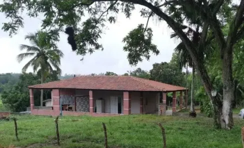 Fazenda/Sítio à venda, 5000m² no Santa Tereza, Paudalho