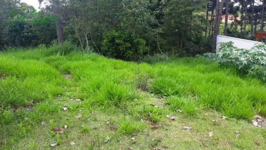 Lote/Terreno à venda, 511m² no Moinho Velho, Cotia