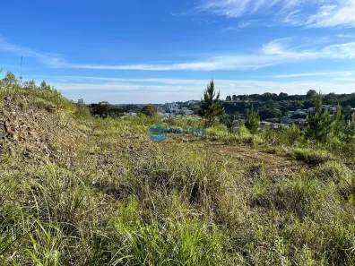 Lote/Terreno à venda, 467m² no Jardim das Hortências, Caxias do Sul