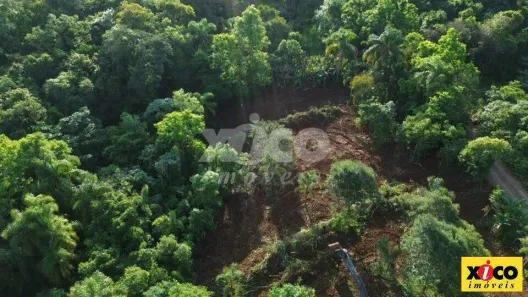 Lote/Terreno à venda, 5000m² no , Picada Café
