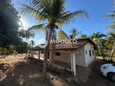 Fazenda/Sítio com 3 Quartos à venda, 230m² no Jockey Camping, Uberlândia