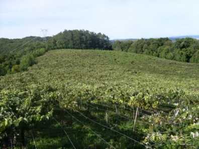 Fazenda/Sítio com 2 Quartos à venda, 237000m² no , Coronel Pilar