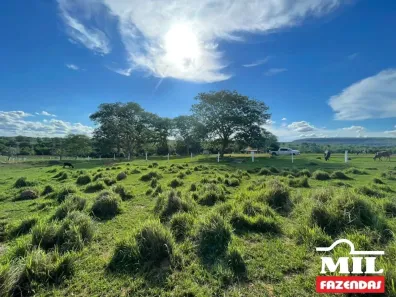 Fazenda/Sítio à venda, 500m² no , Torixoréu