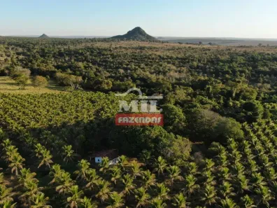 Fazenda/Sítio à venda, 500m² no , Cachoeira de Goiás