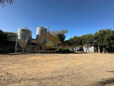 Fazenda/Sítio à venda, 133100m² no Área Rural de Tatuí, Tatuí
