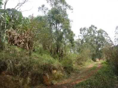 Lote/Terreno à venda, 1381m² no Santa Maria, Osasco