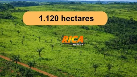 Fazenda/Sítio à venda, 11200000m² no Apuí, Apuí