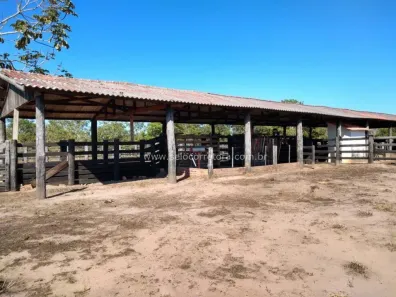 Fazenda/Sítio com 2 Quartos à venda, 15000000m² no Centro, Campos de Júlio